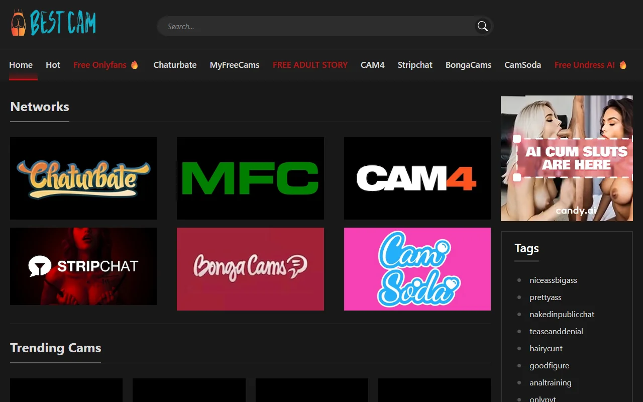 Screenshot of Bestcam